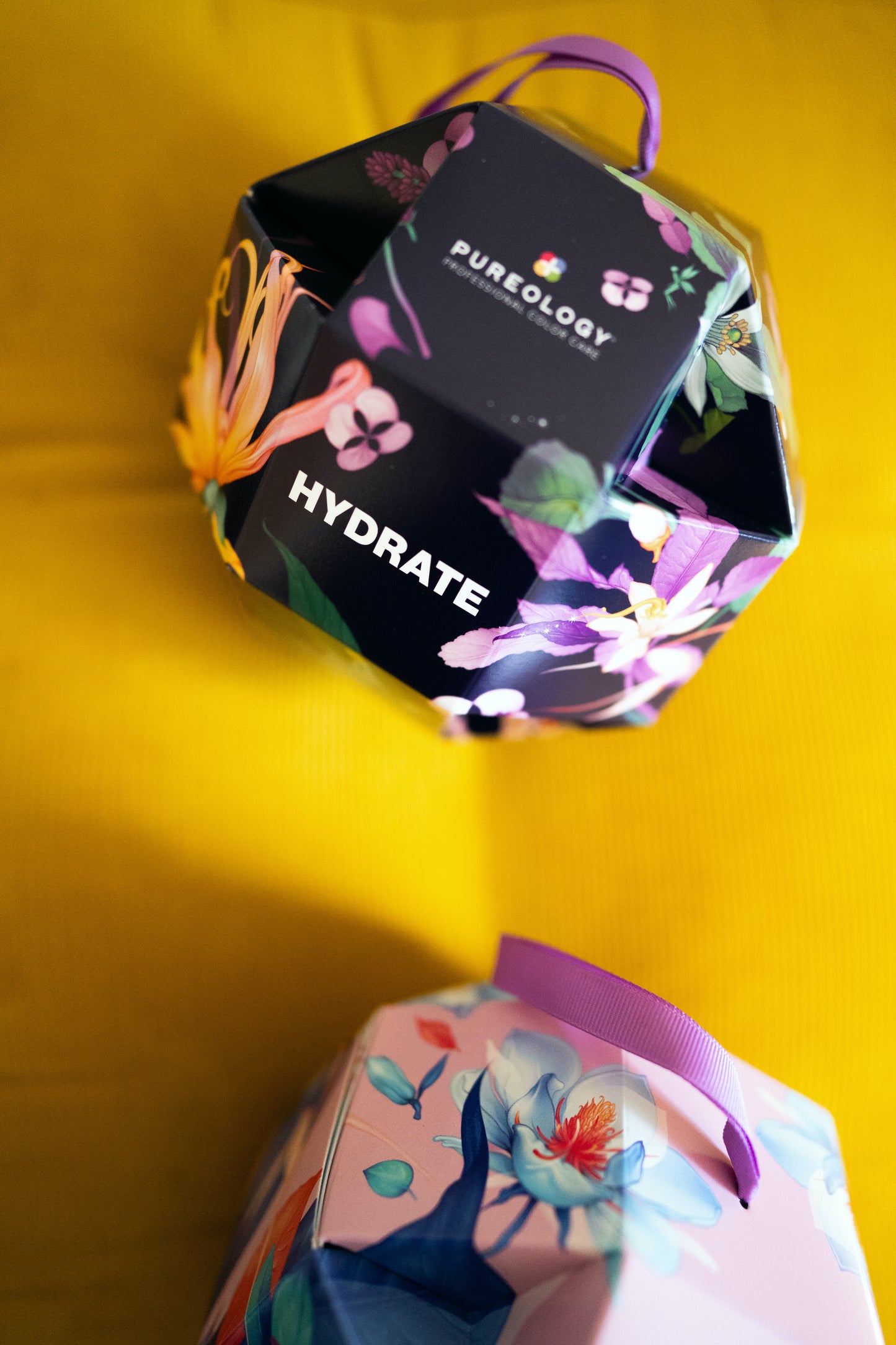 Hydrating + Color Protecting Hair Kit